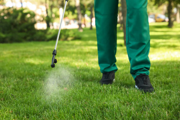 Best Local Pest Control Services  in Byron, IL