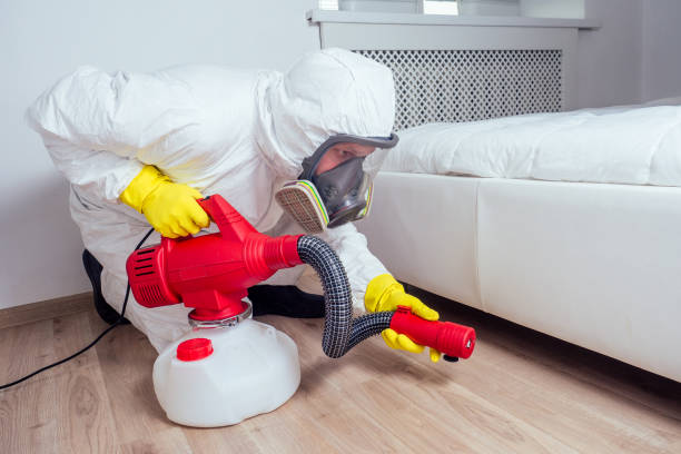 Best Ant Control Services  in Byron, IL