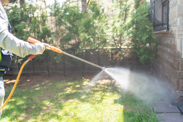 Best Emergency Pest Control  in Byron, IL