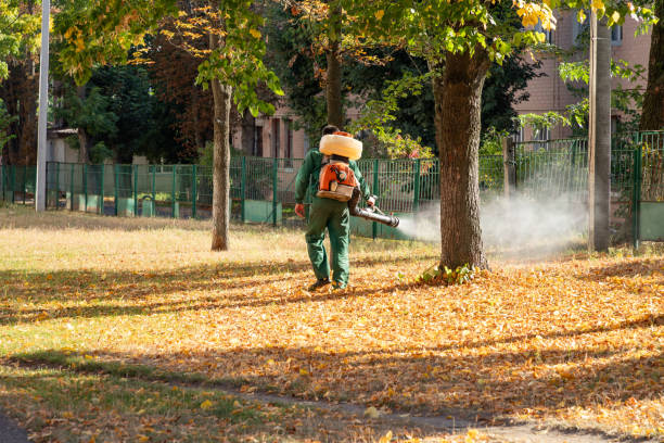 Best Best Pest Control Companies  in Byron, IL
