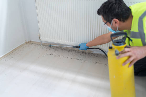 Best Pest Prevention Services  in Byron, IL