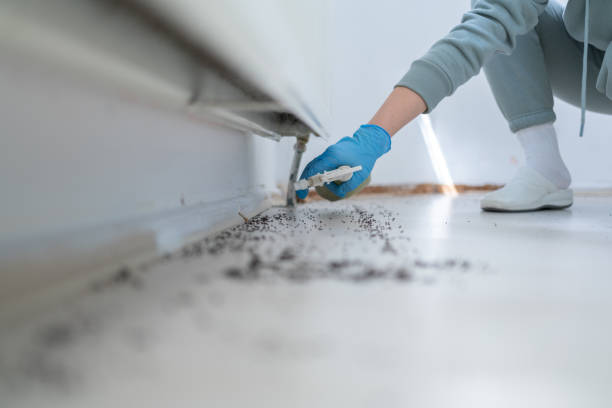 Best Pest Inspection Near Me  in Byron, IL