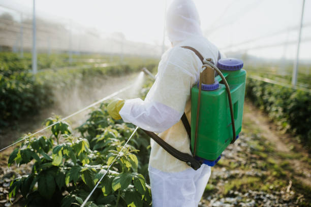 Best Cockroach Control Services  in Byron, IL